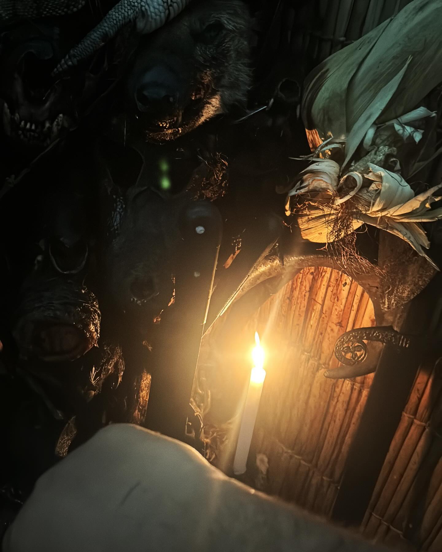 455366989_1573070730226895_4202890512120612555_n